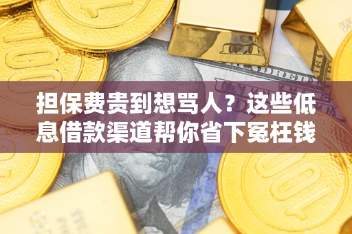 济南担保费贵到想骂人？这些低息借款渠道帮你省下冤枉钱