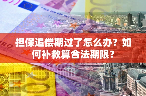 济南担保追偿期过了怎么办？如何补救算合法期限？