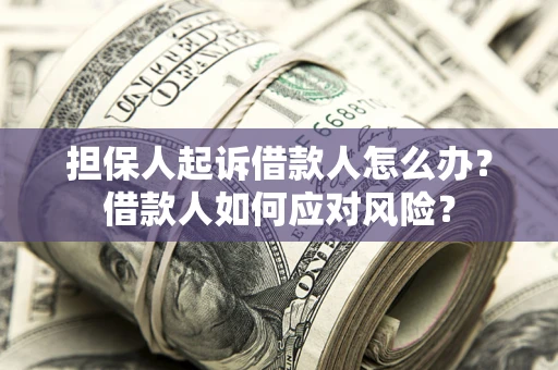 济南担保人起诉借款人怎么办？借款人如何应对风险？