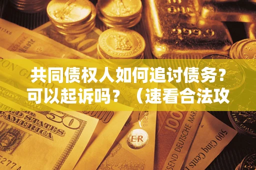济南共同债权人如何追讨债务？可以起诉吗？（速看合法攻略）